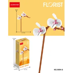 Lelebrother | Florist - Plant Series - Cymbidium