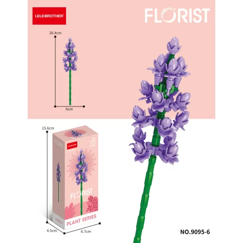 Lelebrother | Florist - Plant Series - Lavandula
