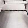 ΠΛΑΝΗ-ΞΕΧΟΝΔΡΙΣΤΗΡΑΣ 1500W BORMANN Pro BPT1500