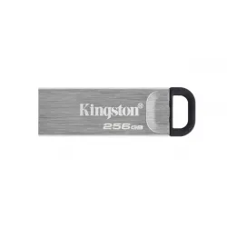 KINGSTON USB Stick Data Traveler DTKN/256GB,USB 3.2, Silver