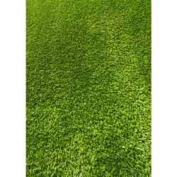 ΣΥΝΘΕΤΙΚΟΣ ΧΛΟΟΤΑΠΗΤΑΣ 1x25m ΚΑΙ ΎΨΟΥΣ ΠΕΛΟΥΣ 20mm BORMANN Lite BPN2110