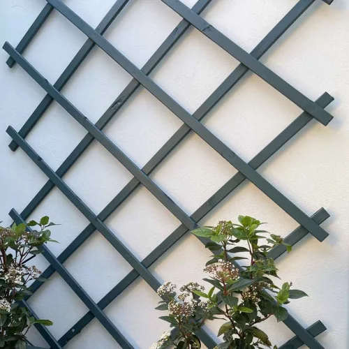 Πέργκολα Τοίχου 150 x 200 εκ.