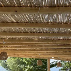 Καλάμι ολόκληρο διετές O20-25ΜΜ O20-25εκ. | 100(Υ) x 300εκ.