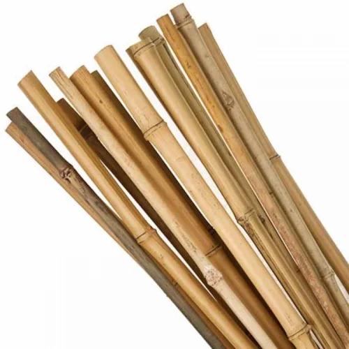 Καλάμι Bamboo Ø8-10 x 300εκ.