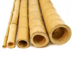 Ιστός bamboo O2-2,2 x 200εκ.