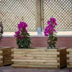 Ξύλινη γλάστρα παραλληλόγραμμη Ξύλινη γλάστρα παραλληλόγραμμη 37(Y) x 50 x 110εκ.