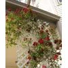 Ξύλινο Καφασωτό Medium 5x5 – 122 x 240εκ.
