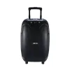 Akai ABTS-X10 PLUS Φορητό ηχείο Bluetooth με ενισχυτή, TWS, USB, SD, AUX, FM, ασ. μικρόφωνο και χειριστήριο με υποδοχή για 2 μικ