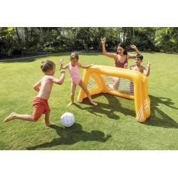 Fun Goals Game