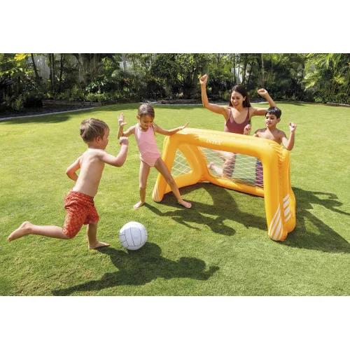 Fun Goals Game