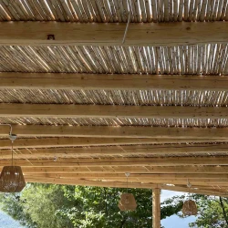 Καλάμι ολόκληρο διετές O20-25ΜΜ O20-25εκ. | 150(Υ) x 300εκ.