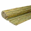 Καλαμωτή Μπαμπού Ø20–25mm - 250 x 250εκ.