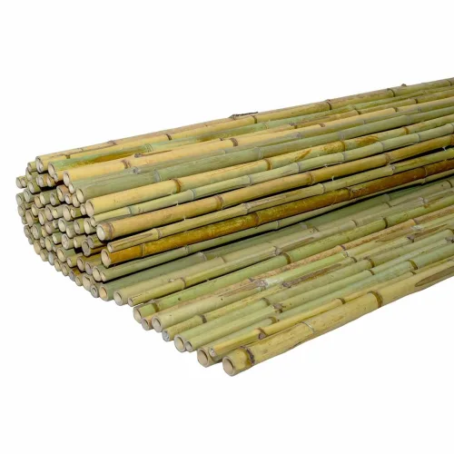 Καλαμωτή Μπαμπού Ø20–25mm - 250 x 250εκ.