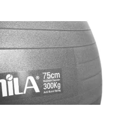 Μπάλα Γυμναστικής (Bulk) 75cm - Γκρι