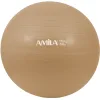 Μπάλα Γυμναστικής 65 cm - Χρυσή