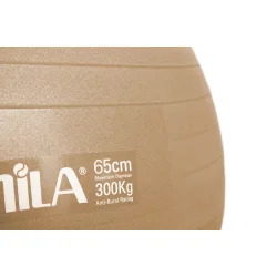 Μπάλα Γυμναστικής 65 cm - Χρυσή