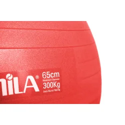 Μπάλα Γυμναστικής 65 cm - Κόκκινη
