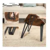 Vasagle Set of 3 Nesting Coffee Table (LNT14BX) (VASLNT14BX)