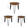Vasagle Set of 3 Nesting Coffee Table (LNT14BX) (VASLNT14BX)