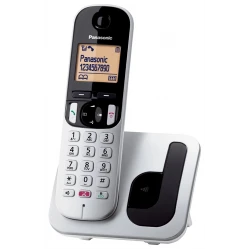 Panasonic Dect KX-TGC250GR Silver
