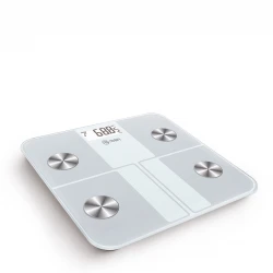 Smart FITBODY 4R