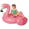 Flamingo Ride-On