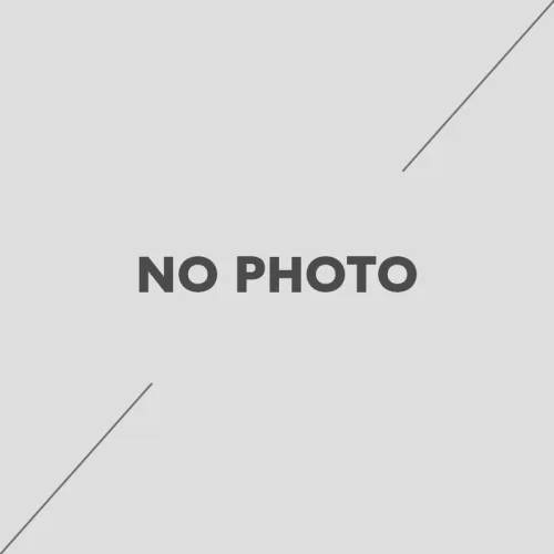 BORMANN Pro BGB9010 Γεννήτρια Πετρελαίου Συνεχ. Απόδοση 5000W, 418cc, Μίζα, Μπαταρία,82dB, Tροχοί