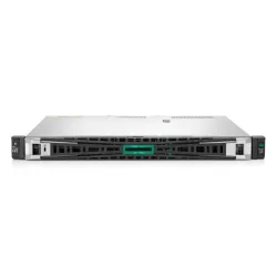 HPE ProLiant DL20 Gen11, LFF, 4-Core, 32GB, 2 x 2TB HDD - P87462-425