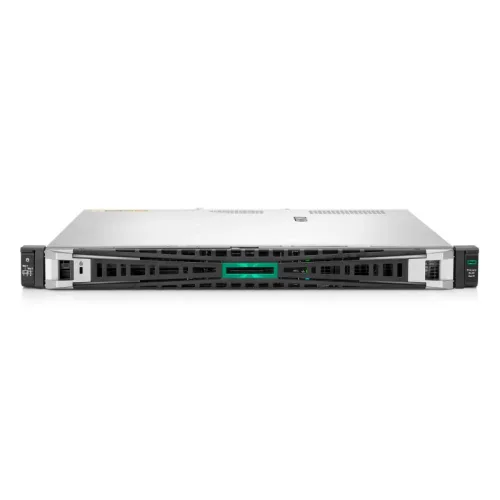 HPE ProLiant DL20 Gen11, LFF, 4-Core, 32GB, 2 x 2TB HDD - P87462-425
