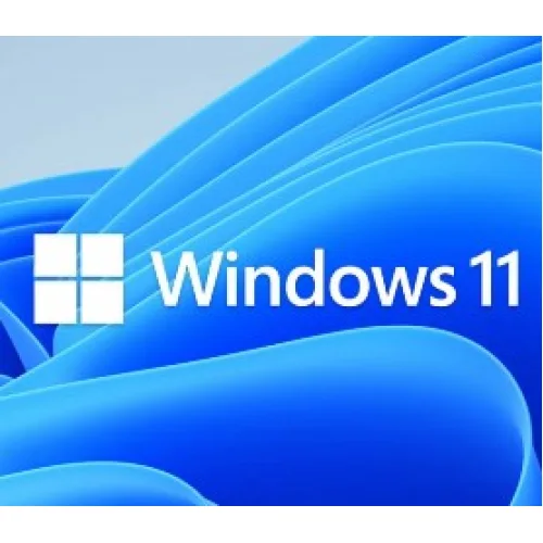 MS WINDOWS DSP 11 PRO 64-BIT GR