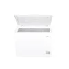 Tesla Freezer RH2901HE