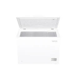 Tesla Freezer RH2901HE