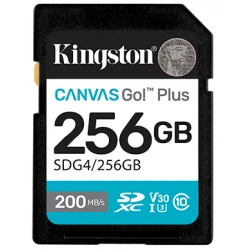 256GB SDXC CANVAS GO PLUS G4